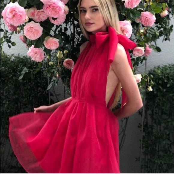 LAST 1️⃣-NWT Zara Mini Organza Dress - Picture 2 of 15